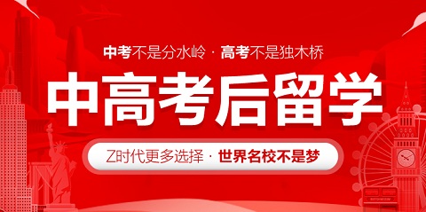 高考留学双计划
