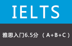 雅思入门6.5分班(8人)