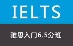 雅思入门6.5分班(30人)