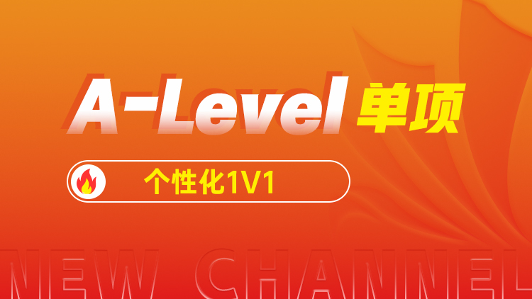 A-Level单项个性化1V1
