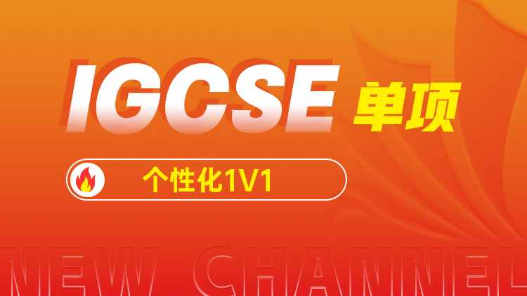 IGCSE单项个性化1V1