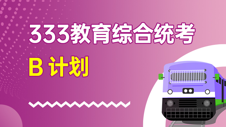 333教育综合统考 B计划