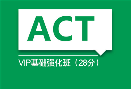 ACT VIP（6-10人）人基础强化班（28分）