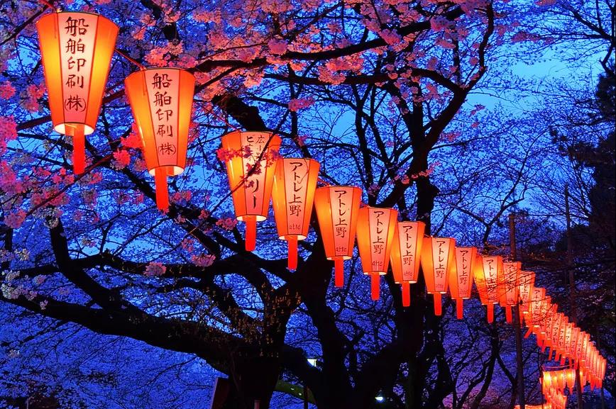 日本留学哪个学校好