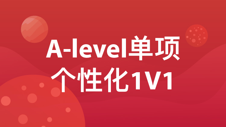 A-Level单项个性化1V1