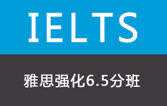 雅思强化6.5分班(30人)