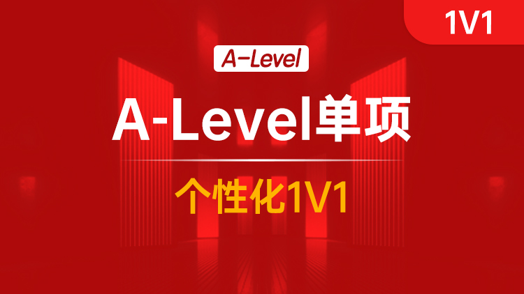 A-Level单项个性化1V1