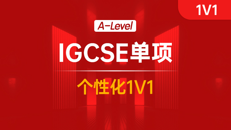 IGCSE单项个性化1V1
