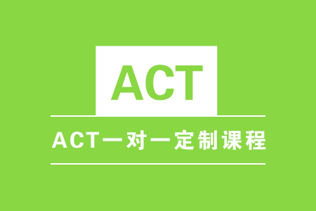 ACT 一对一定制课程