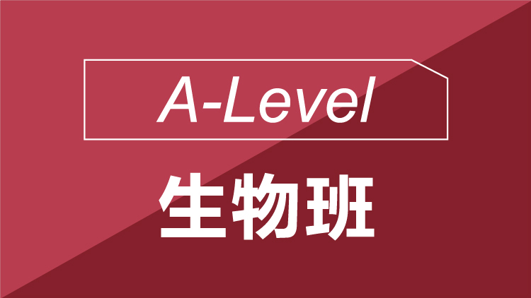 A-Level生物班