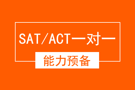 SAT/ACT 能力预备一对一