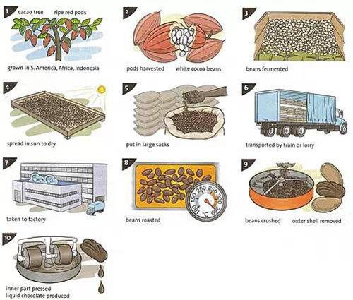 雅思小作文流程图模板1.jpg 雅思小作文流程图模板1.jpg