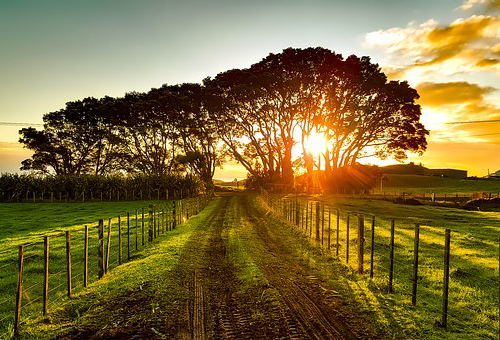 留学新西兰费用多少.jpg 留学新西兰费用多少.jpg