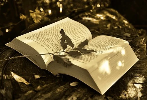 雅思英语培训价格.png 雅思英语培训价格.png