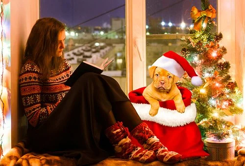 郑州哪家雅思比较好.png 郑州哪家雅思比较好.png