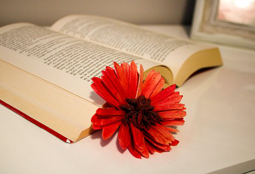 郑州市第四十七中国际部中澳班SAT班招生简章.jpg 郑州市第四十七中国际部中澳班SAT班招生简章.jpg