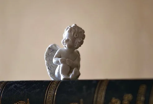 郑州外国语学校中英A-level课程班招生简章2.png 郑州外国语学校中英A-level课程班招生简章2.png