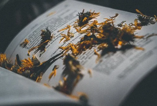 出国留学申请文书怎么写.png 出国留学申请文书怎么写.png