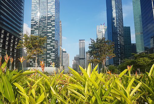 新加坡有几个城市2.jpg 新加坡有几个城市2.jpg