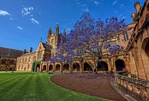 澳洲哪些大学有房地产专业1.png