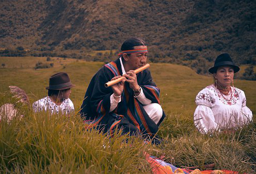 indigenous怎么读.jpg indigenous怎么读.jpg