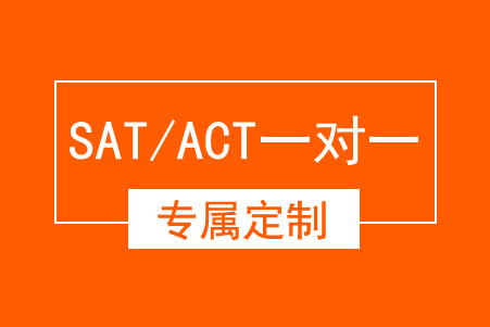 SAT/ACT 一对一专属定制