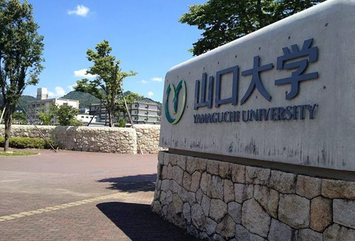 山口大学世界排名.png