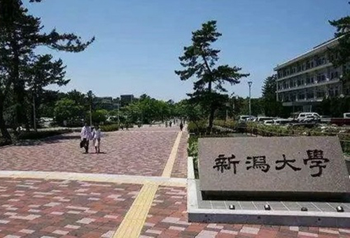 新泻大学世界排名.jpg