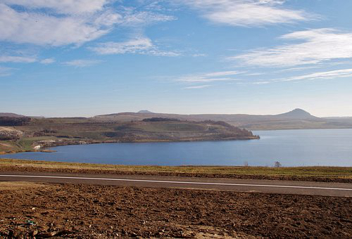 revitalization怎么读.jpg revitalization怎么读.jpg