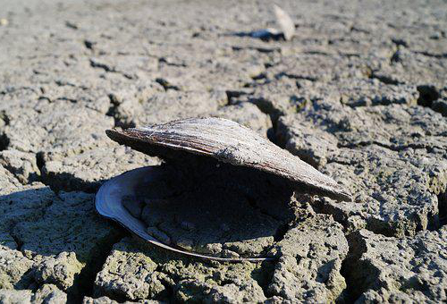 consequence怎么读.jpg consequence怎么读.jpg