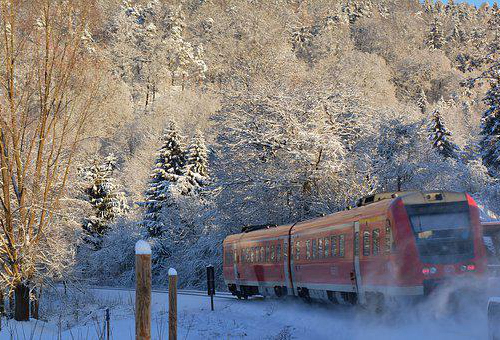 bitterly怎么读bitterly是什么意思