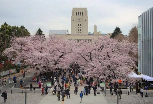 日本东北大学相当于国内什么大学.jpg