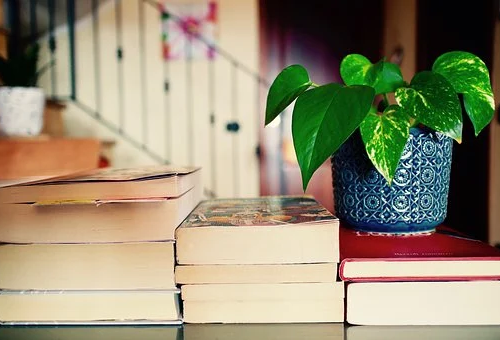 保研机构有用吗.png 保研机构有用吗.png