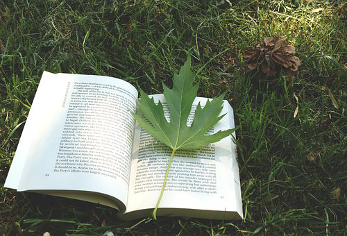 基础差怎么备考雅思.jpg 基础差怎么备考雅思.jpg